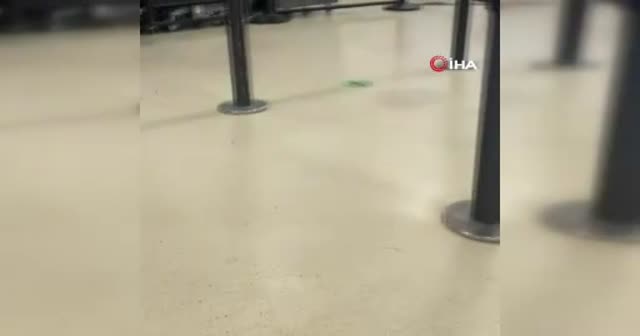 ABD’de havalimanında silah paniği: Uçuşlar durduruldu