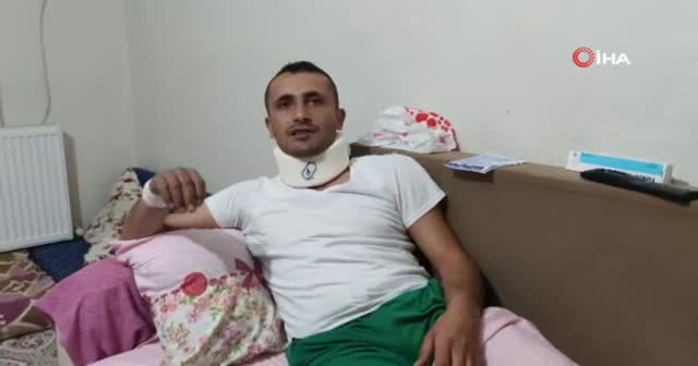 Bir ayı meselesi daha! Ayıya hakkımı helal etmiyorum