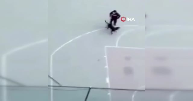 Pitbulla dehşeti yaşattı: Küçük çocuk korkudan potaya çıktı