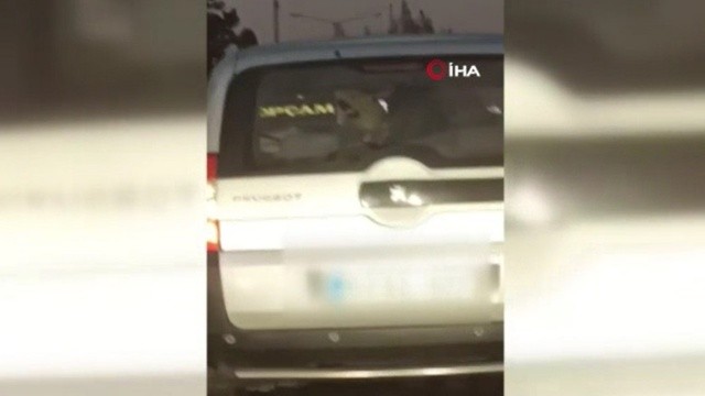 Seyir hâlindeki araçta şoförü tıraş etti, o anlar kamera yansıdı