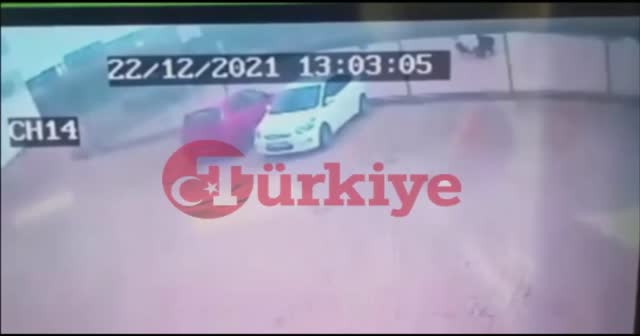 Asiye o köpeklerle böyle oynamış! Pitbull dehşetinde yeni görüntüler