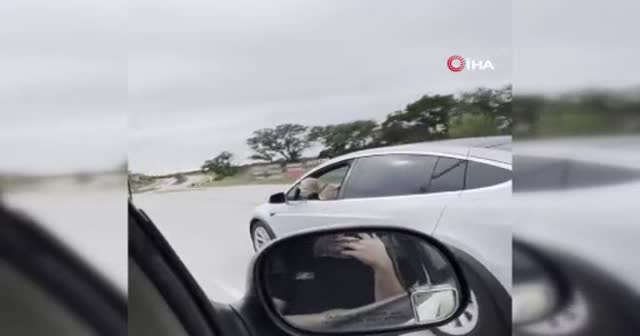 Tesla'nın enteresan şoförü: Direksiyon başına bu defa bir köpek geçti