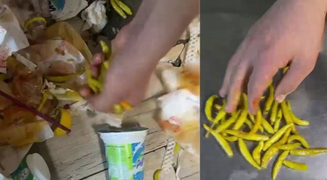 Kadıköy’de tantunicide mide bulandıran görüntüler! Tüm biberleri çöpten toplattı