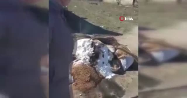 İnsani yardımlarını da istemediler... Rusya'dan gelen ne varsa yaktılar!