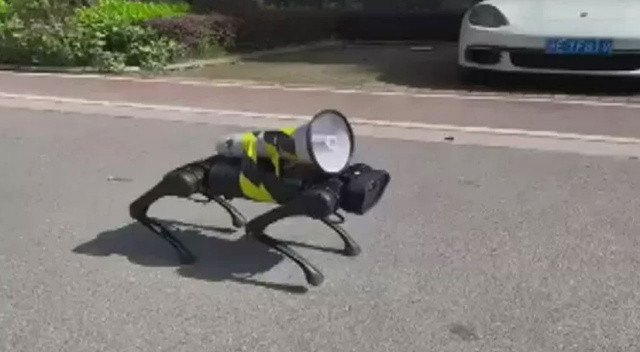 Şanghay'da sokaklarda dolaşan robot köpek gündem oldu