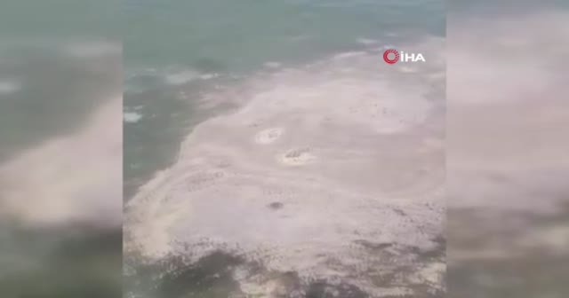 Büyükada açıklarında müsilaj benzeri kirlilik görüldü