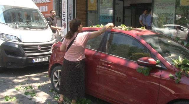 Kadıköy'de şaşırtan anlar: Aracın üzerine düşen ağaçtan dut topladılar