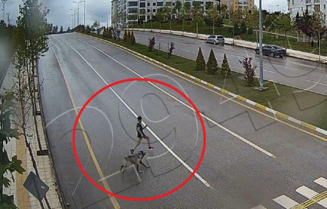 Sokak köpeğinden kaçarken düşen çocuk dalağından oldu, o anlar kamerada
