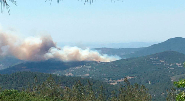 Balıkesir Kepsut'ta orman yangını