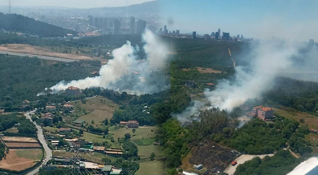 Beykoz'daki yangınla ilgili 1 kişi gözaltına alındı