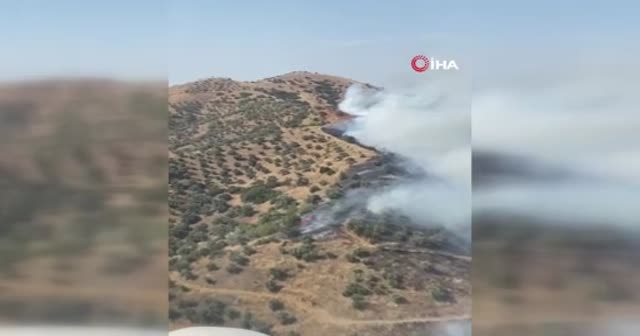 İzmir'de orman yangını