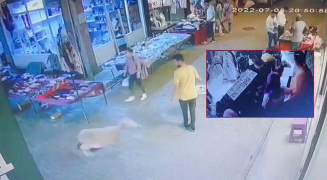 Kurbanlık koyun mağazaya girdi, müşteriler kaçmaya çalıştı!