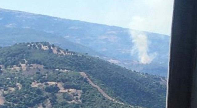 Manisa'da orman yangını