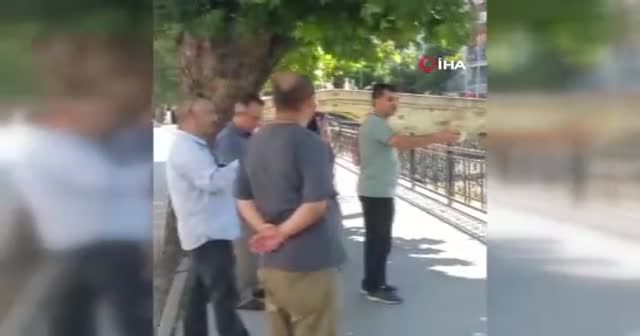 Şehrin ortasında yılan paniği: Vatandaşlar ne yapacağını şaşırdı