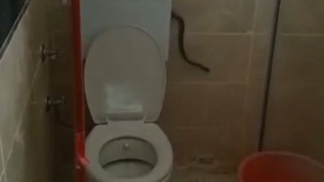 Yüzünü yıkamak için banyoya giden adam hayatının şokunu yaşadı