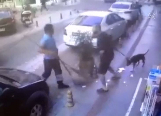 Kadıköy'de köpeğine toz geldi diye temizlik görevlisinin burnunu kırdı