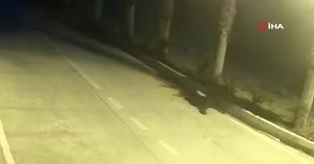 Kahraman polis şehit olmadan önce teröristi böyle etkisiz hale getirdi