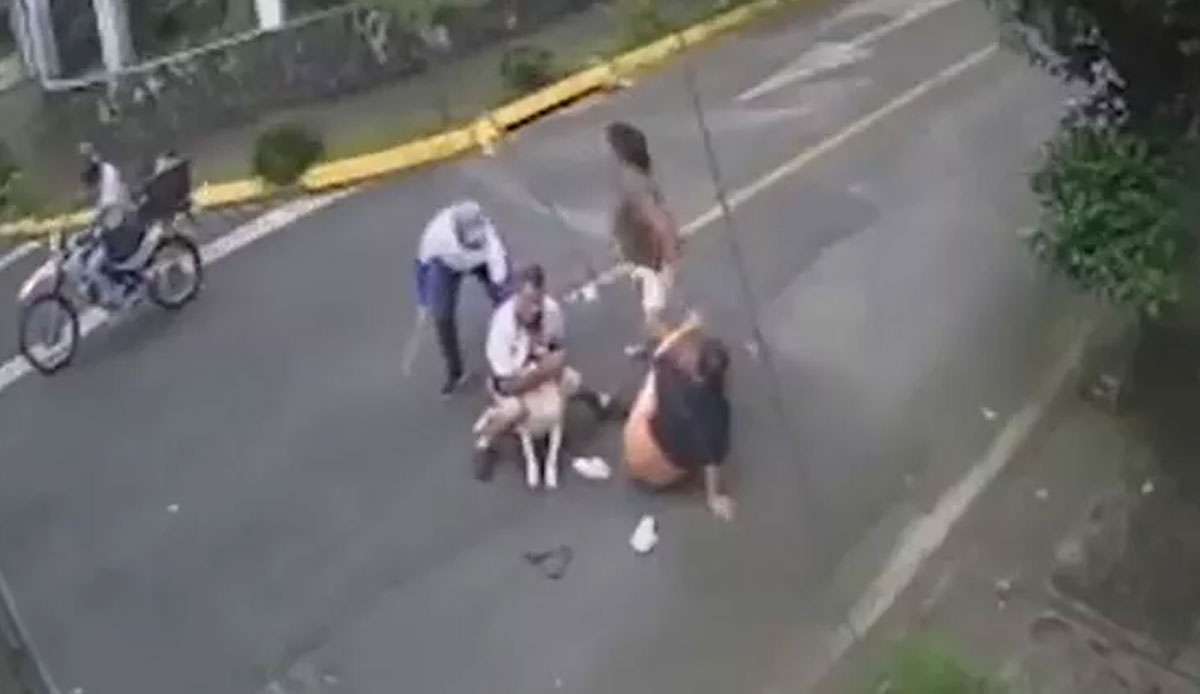 Pitbull saldırısının çok konuşulan kahramanı! Köpeğin nefesini kesti, kadını kurtardı: İşte o hayat kurtaran taktik