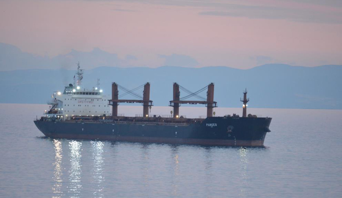 Yunanistan'dan yola çıkan gemi Tekirdağ'da karaya oturdu