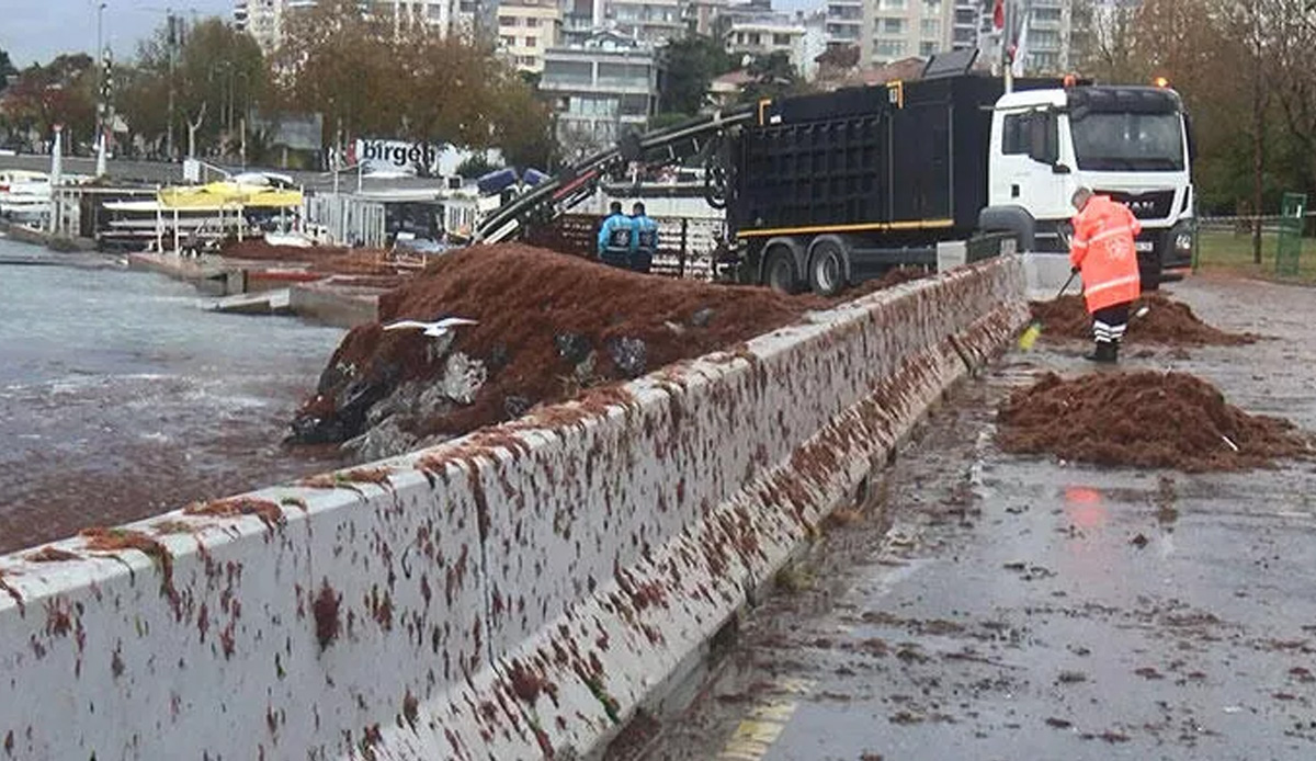 Yürüme yoluna kadar ulaştı! Caddebostan sahili kırmızıya büründü