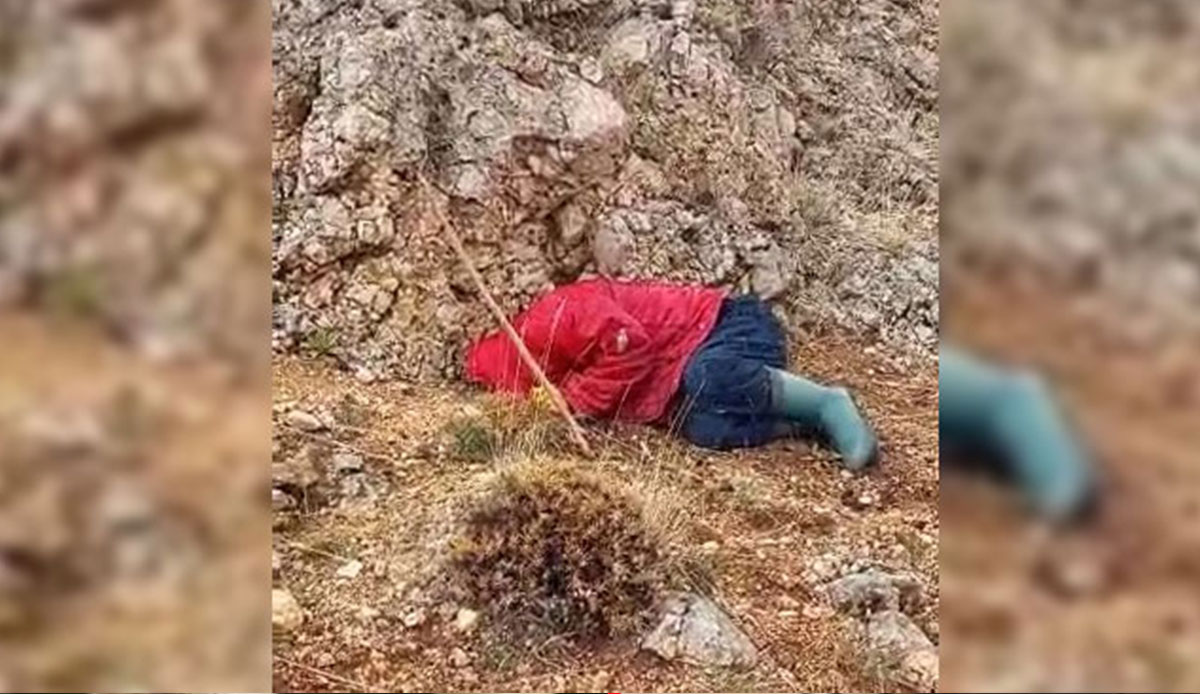 Koyun otlatırken tesadüfen buldu, sözleri görüntüye damga vurdu