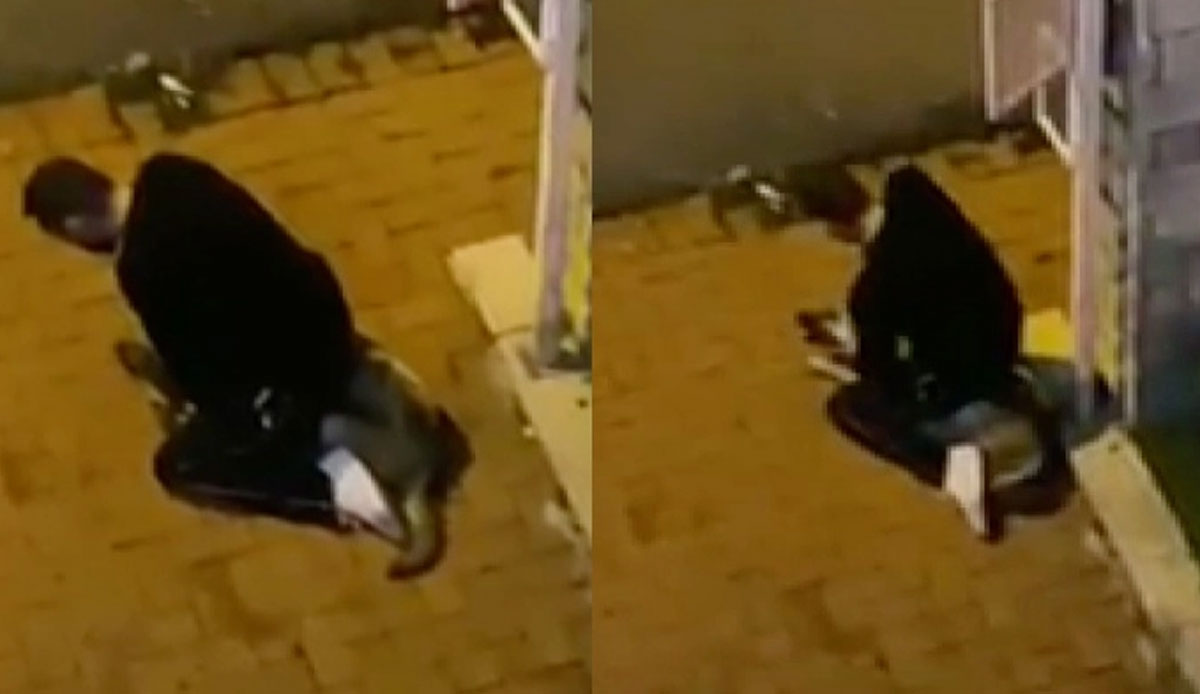 Sarıyer’de dehşete düşüren olay! Sokak köpeğini boğmaya çalıştı