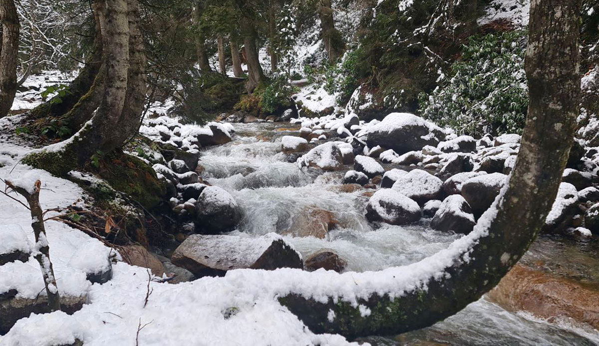 Rize'nin yüksek kesimleri beyaz örtüyle kaplandı