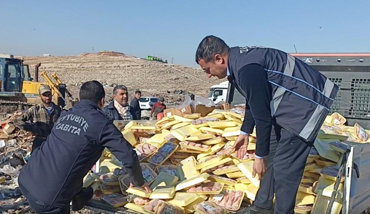 Ekiplerin dikkatinden kaçmadı! Tarihi geçmiş 7 ton tavuk eti imha edildi