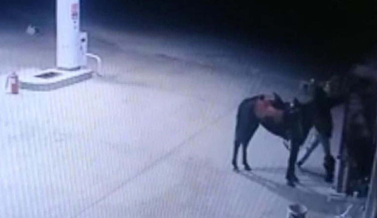 Görüntüler kovboy kasabasından değil Diyarbakır'dan!  Atlı hırsız akaryakıt istasyonuna geldi, çaldığı şey hayrete düşürdü