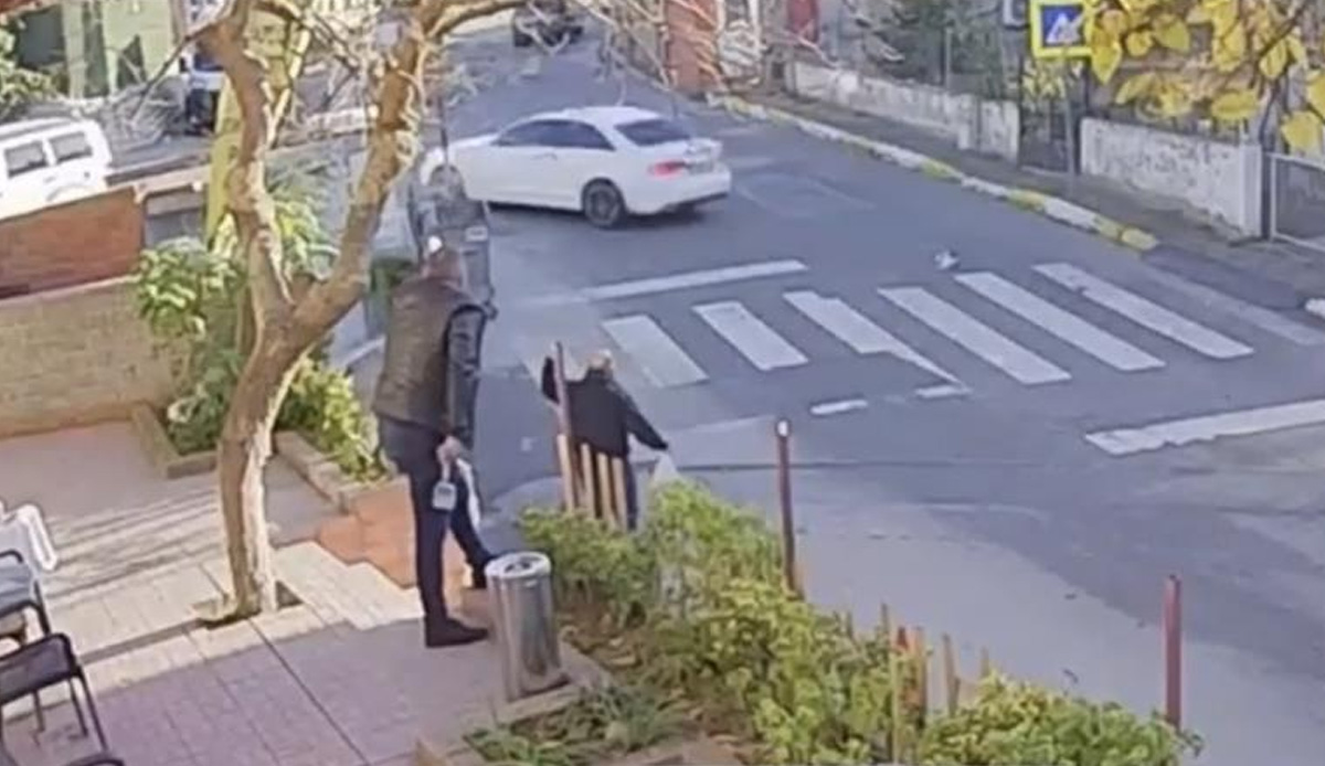 Pendik'te yürek sızlatan görüntü! Vicdansız sürücü kedinin üstünden geçti
