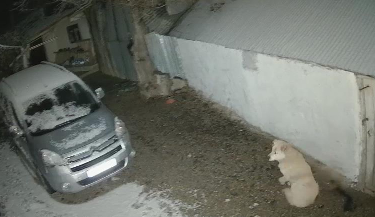 Depreme uykusunda yakalandı, kaçış anı saniye saniye kameraya yansıdı