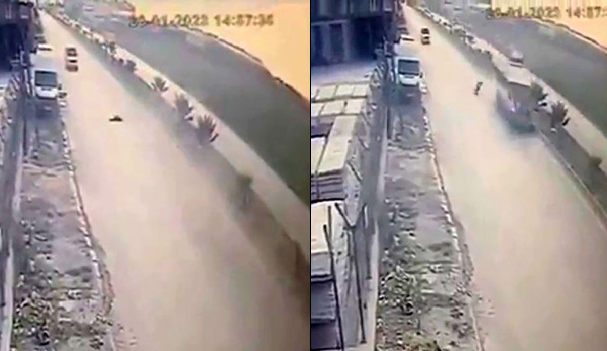 Yine bir sokak köpeği dehşeti! Küçük çocuk hayatını kaybetti