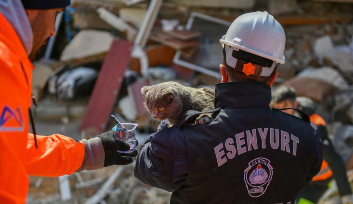 Enkaz altında her can yaşam savaşı veriyor: Hatay’da 121 saat sonra bir kedi kurtarıldı
