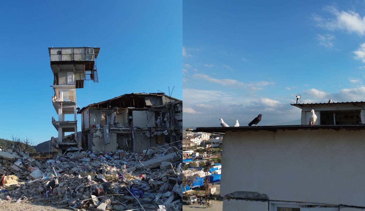 Çöken binada bir tek güvercin yuvaları ayakta kaldı