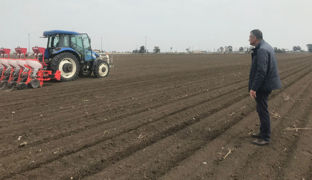 Adana'da depremzede çiftçiler ekime başladı: Üretmek zorundayız