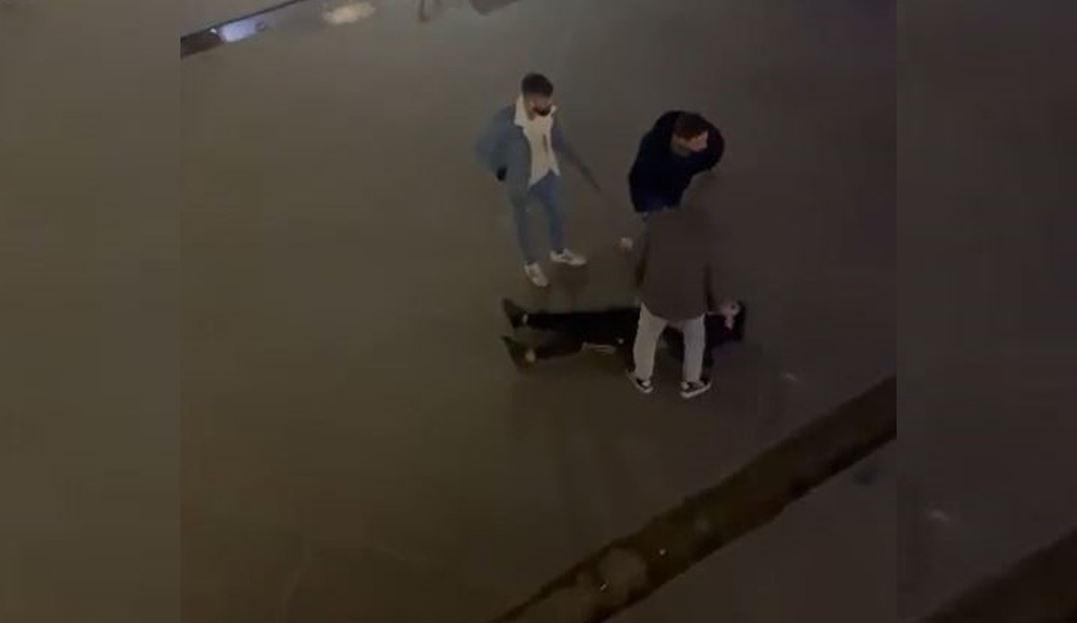 İstanbul'da Pitbull dehşeti! Sahibinin şaka amaçlı saldığı köpek 13 yaşındaki çocuğa saldırdı: Korku dolu anlar kamerada
