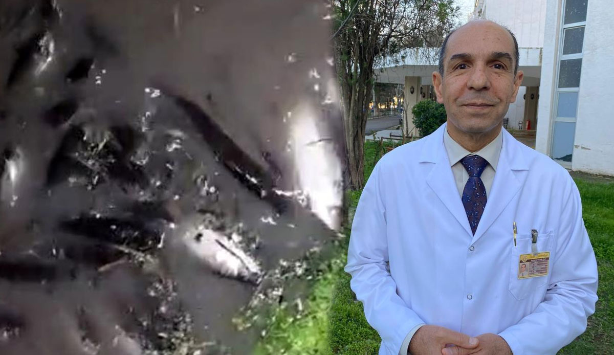 Yer Diyarbakır: Balıklar suda boğuldu