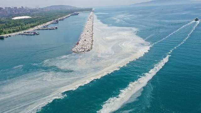 Müsilaj kabusu geri mi dönüyor? Uzmanından dikkat çeken analiz