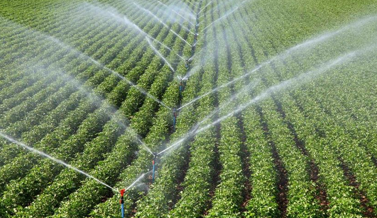 Çiftçiye bir destek daha: Suyun yarısı devletten