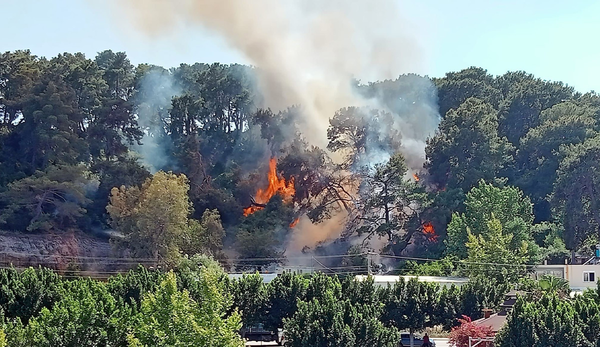 Antalya'da konteyner yangını ormanlık alana sıçradı