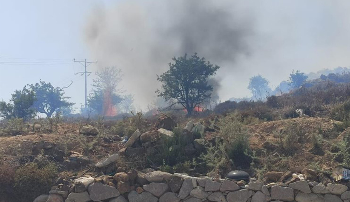Bodrum'da yangın: 20 dönüm kül oldu