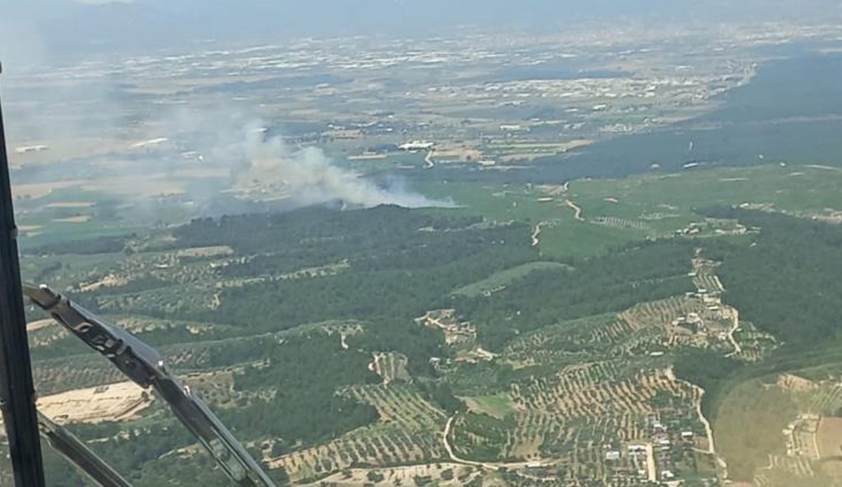 İzmir'de orman yangını