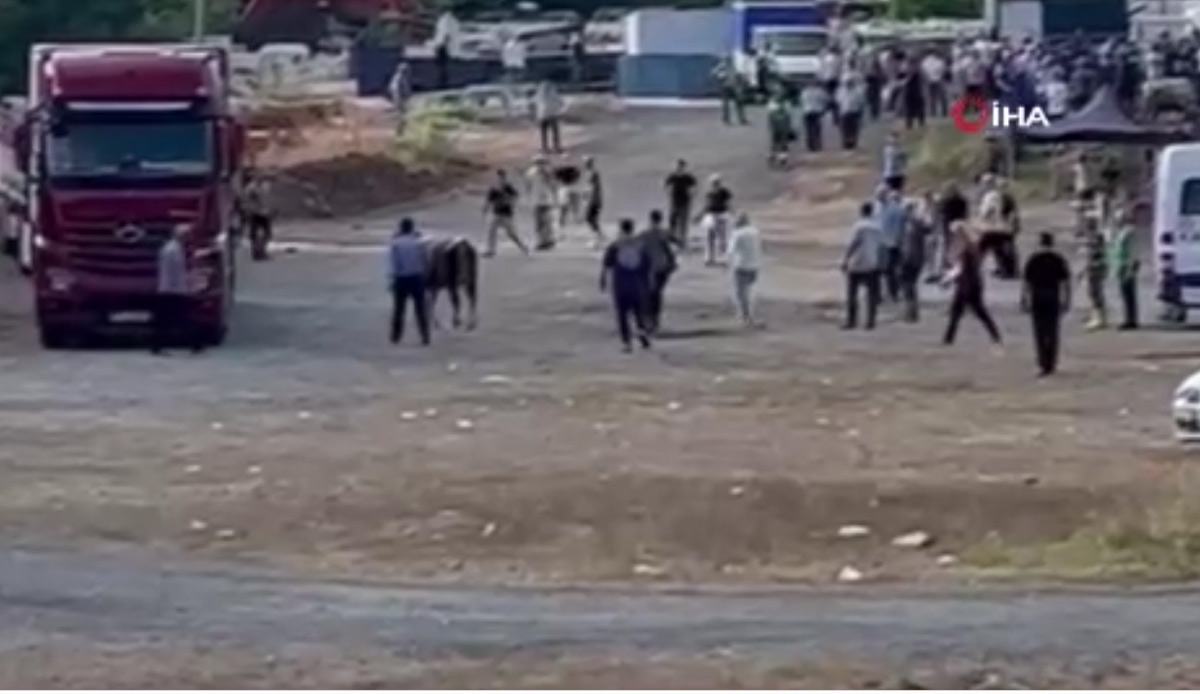 Kurbanlıklar kaçtı, sahipleri peşlerinden koştu: Vatandaşlar zor anlar yaşadı