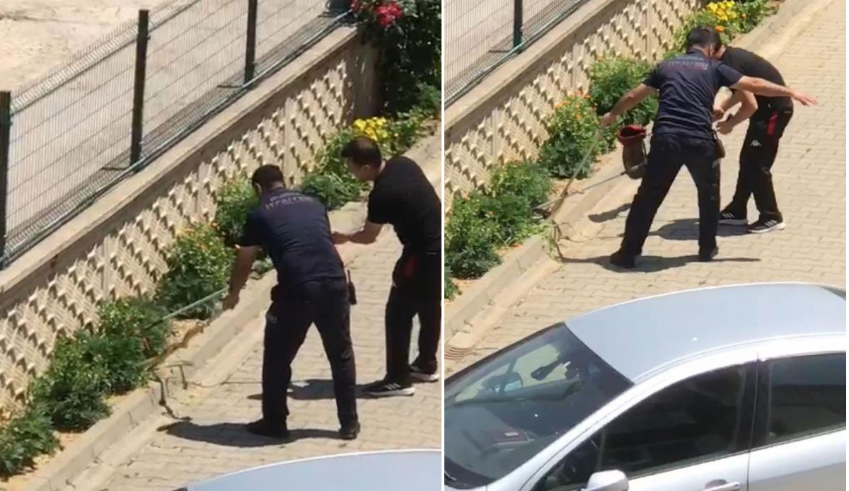 Bursa'da yılan paniği! Evin bahçesine girdi, herkes panik oldu