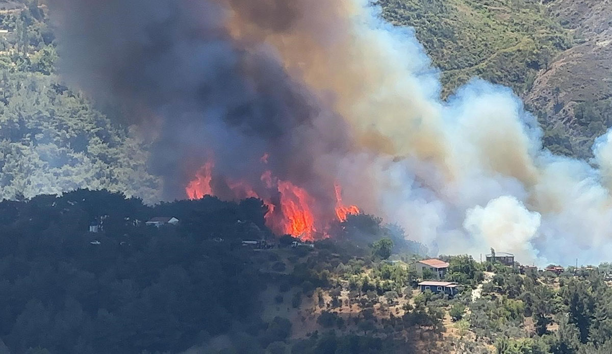 Son Dakika... Hatay'da çıkan orman yangınına müdahale ediliyor