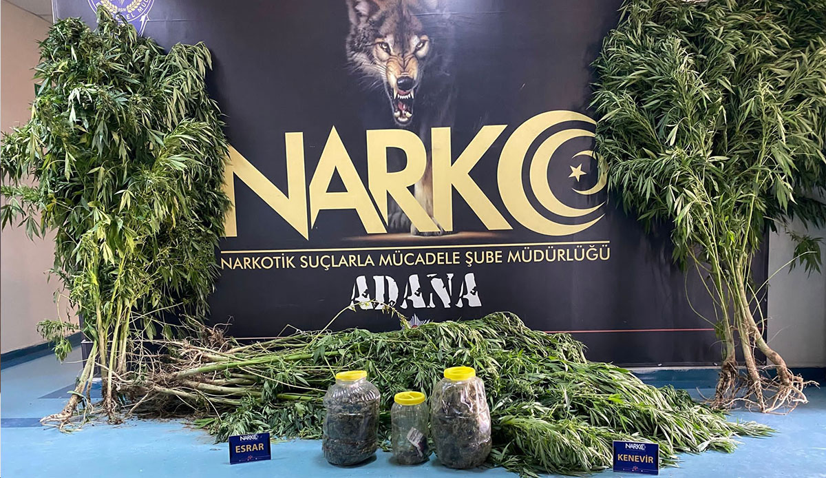 Uyuşturucu tacirinden pişkin cevap: Satmıyorum kullanıyorum