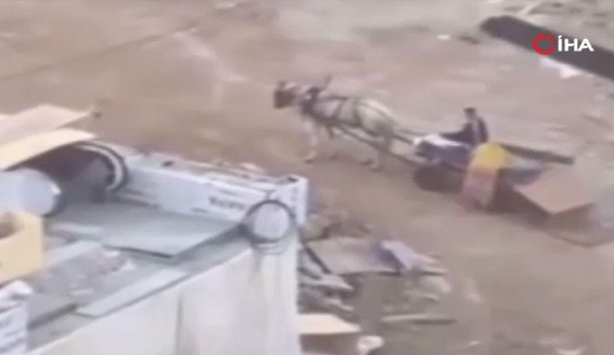 At arabasıyla hiç farkedilmeden hırsızlık yaptılar