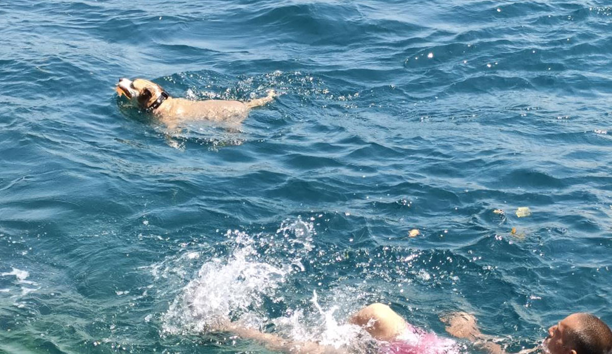 Sıcaklık 38 dereceyi gördü: Vatandaşlar soluğu Boğaz'ın serin sularında aldı