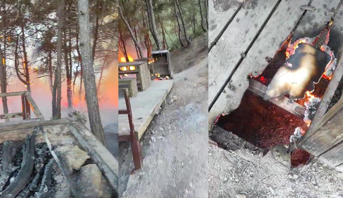 Mangal ateşi ormanı yaktı, vatandaşlar piknikçilere isyan etti