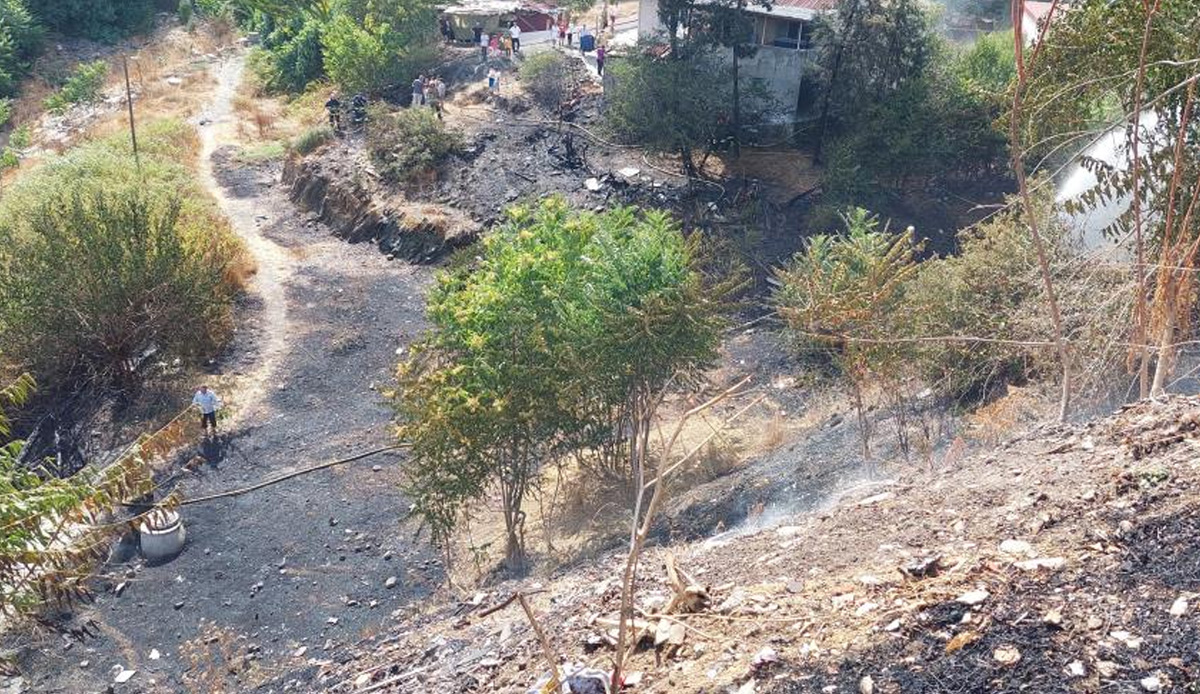 Sultangazi’de ağaçlık alanda yangın paniği!  3 ev tahliye edildi, alevlerin sebebi pes dedirtti